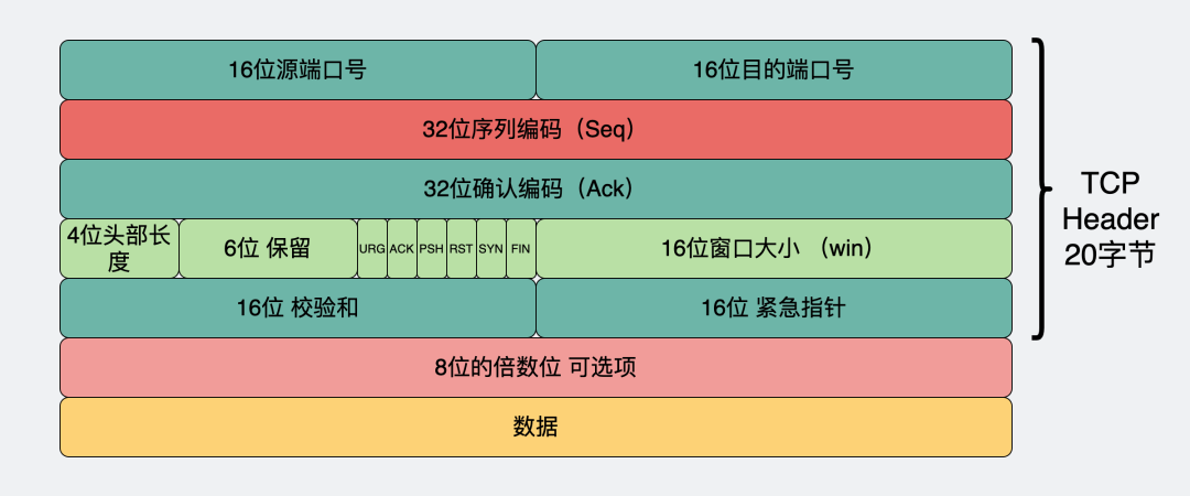 tcp 报头_seq 的位置